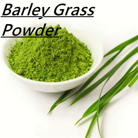 BARLEY GRASS POWDER .